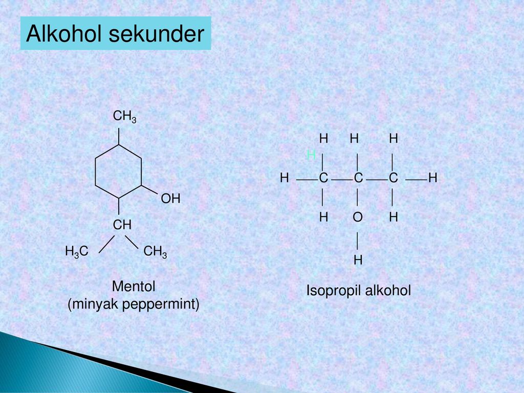 Kippe Alkohol Und Schwanz Telegraph